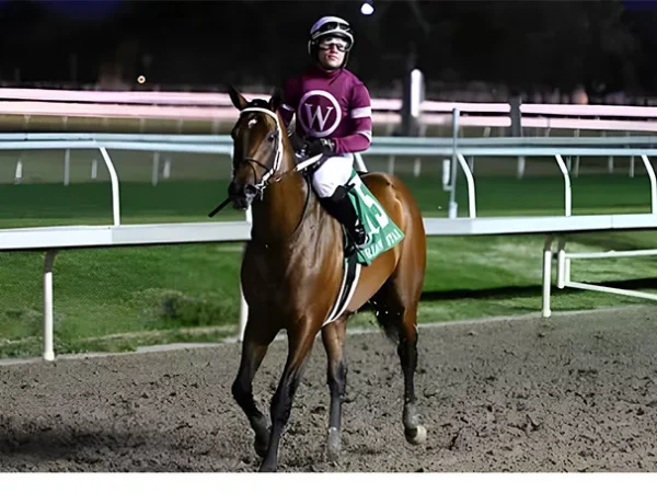 What To Know Before Betting On The Kentucky Derby