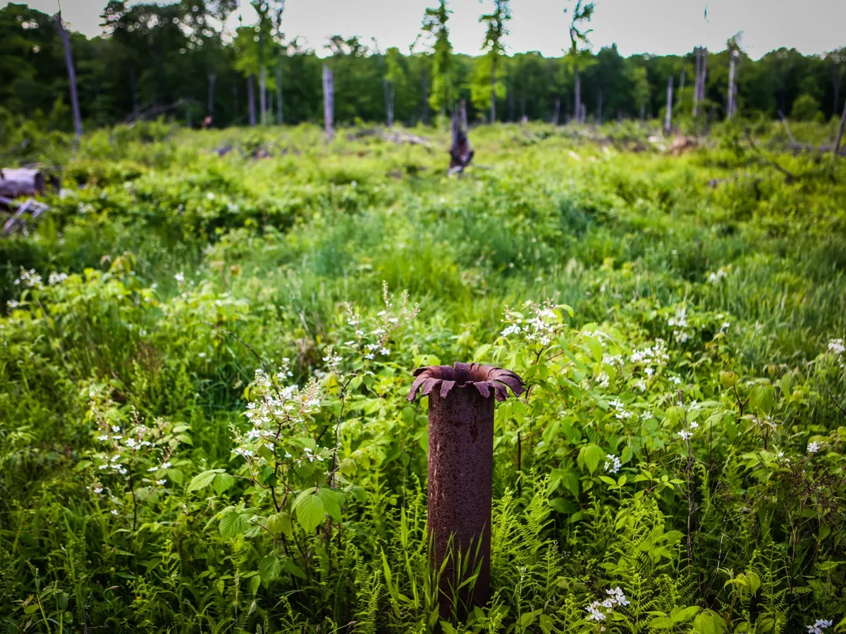 Pennsylvania oil lobby keeps abandoned wells unplugged