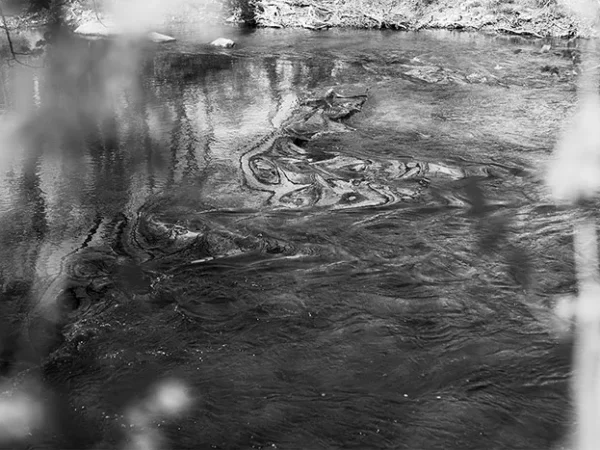 Pittsburgh’s top events: May 5-11