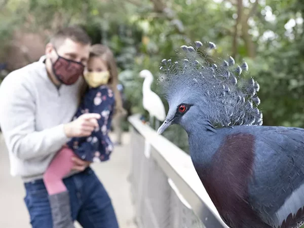 Pittsburgh’s top events: June 16-22