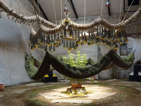 Artists and name announced for 58th Carnegie International