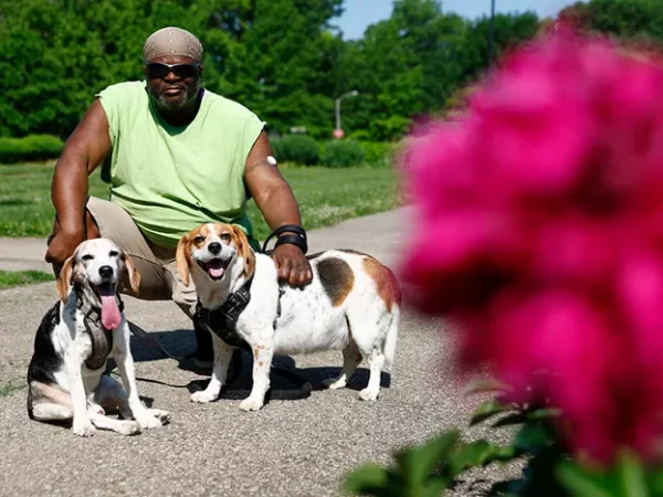 Highland Park beagles spread joy, become local Nextdoor sensations