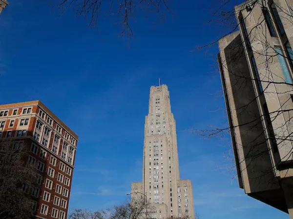 Orthopaedic surgery good for your body but bad for planet, Pitt study finds