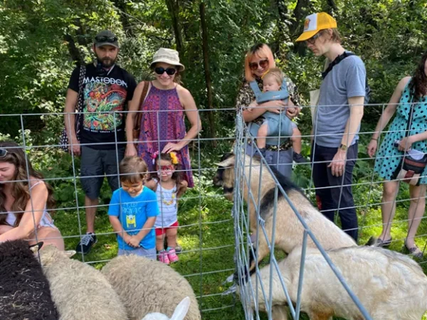 GoatFest PGH returns to South Side Park with free music, fun, and animals