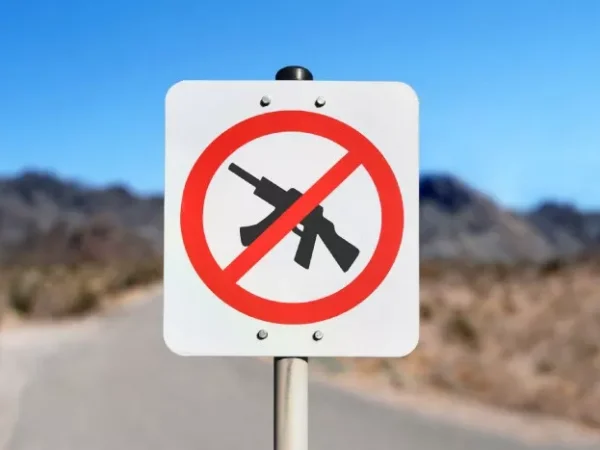 U.S. House passes ban on assault weapons after spate of gun violence