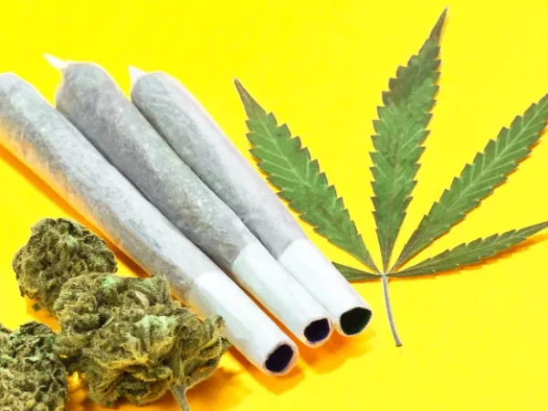 Ed Gainey to discuss reform policies at Pittsburgh Cannabis Festival