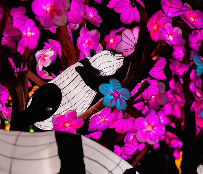 Colorful panda-shaped lanterns in front of brightly colored lit-up pink and blue flowers