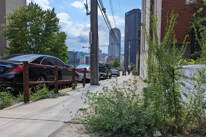 A weeded sidewalk is shown in the foreground, with large, Downtown high rises visible in the background
