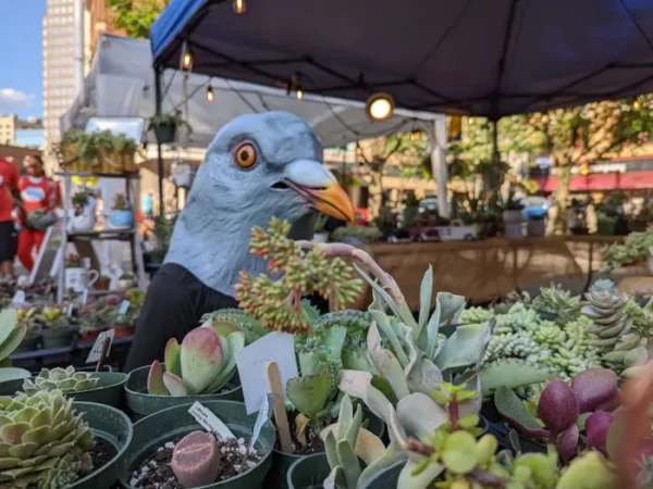 Stay Weird, Pittsburgh: 2 Fern 2 Hollow, very online doctors, and more