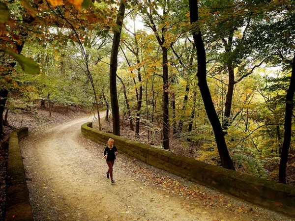 Creation of sustainability department could enhance county’s environmental agenda