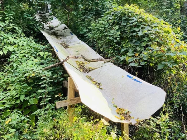 Stay Weird, Pittsburgh: Big ol’ boys, Mac Miller’s diet, and more