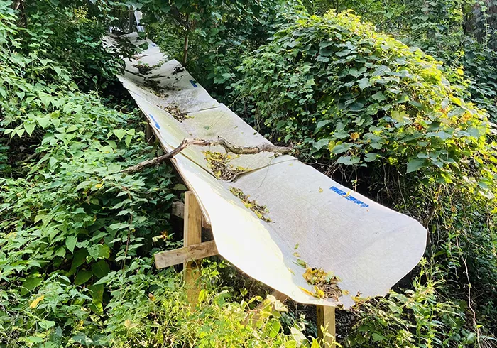 Some long white dirty object that looks like a slide, surrounded by greenery