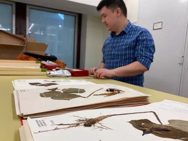 What climate change means for Pennsylvania’s spring wildflowers