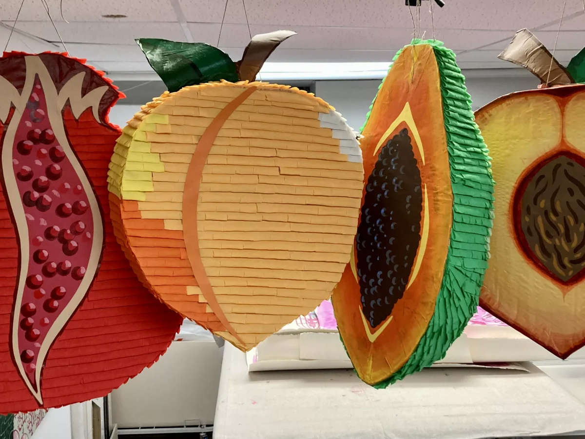 Pittsburgh artist Ashley Cecil launches public poll for ecofeminist piñata project