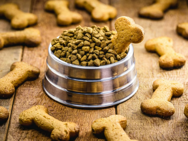 Best Probiotics For Dogs Of 2023