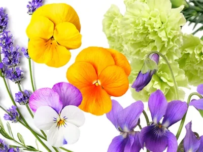 Show your support with these gifts for newly out LGBTQ friends and loved ones