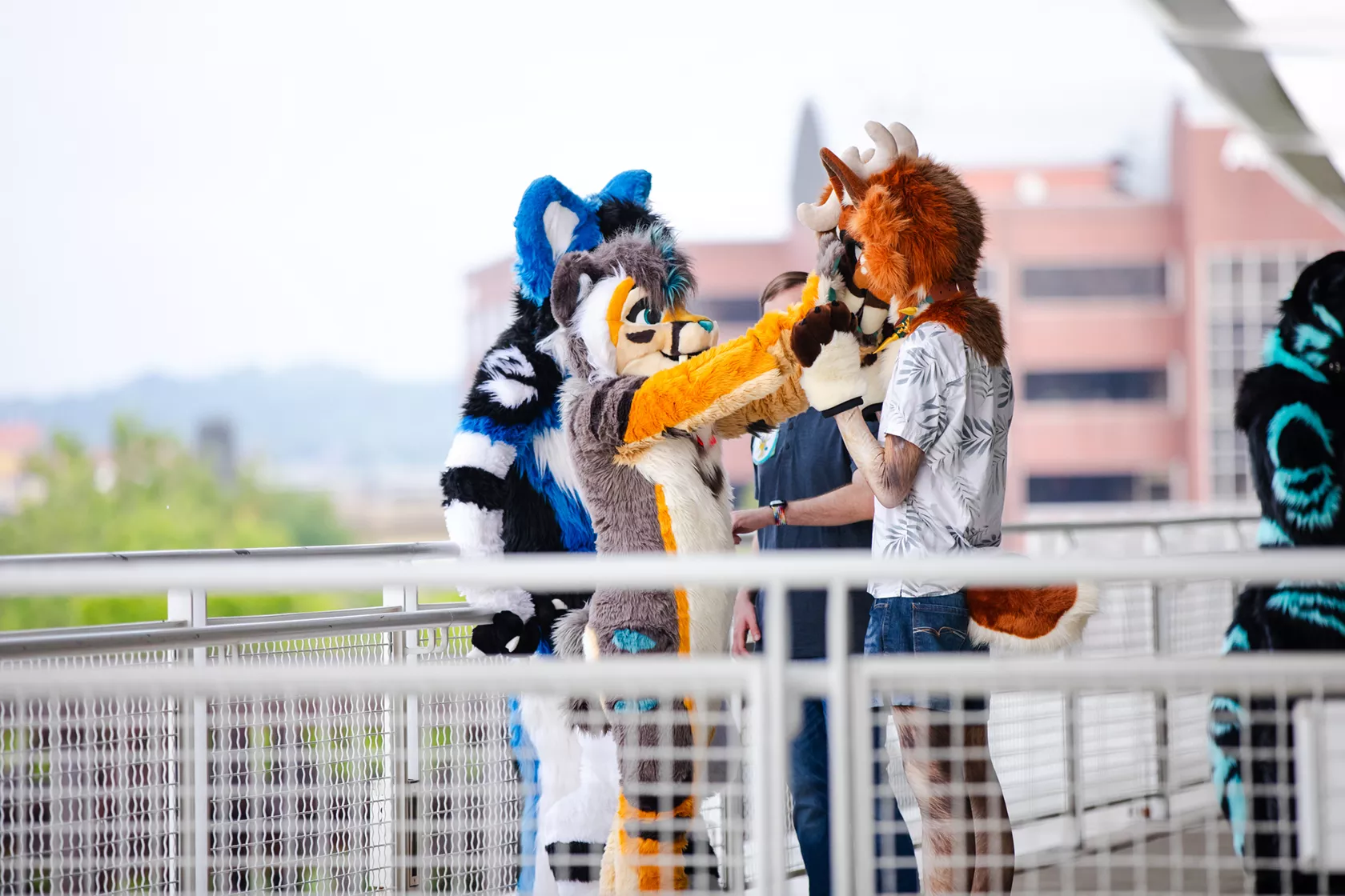 230701-anthrocon-2023-rshiring-049.webp