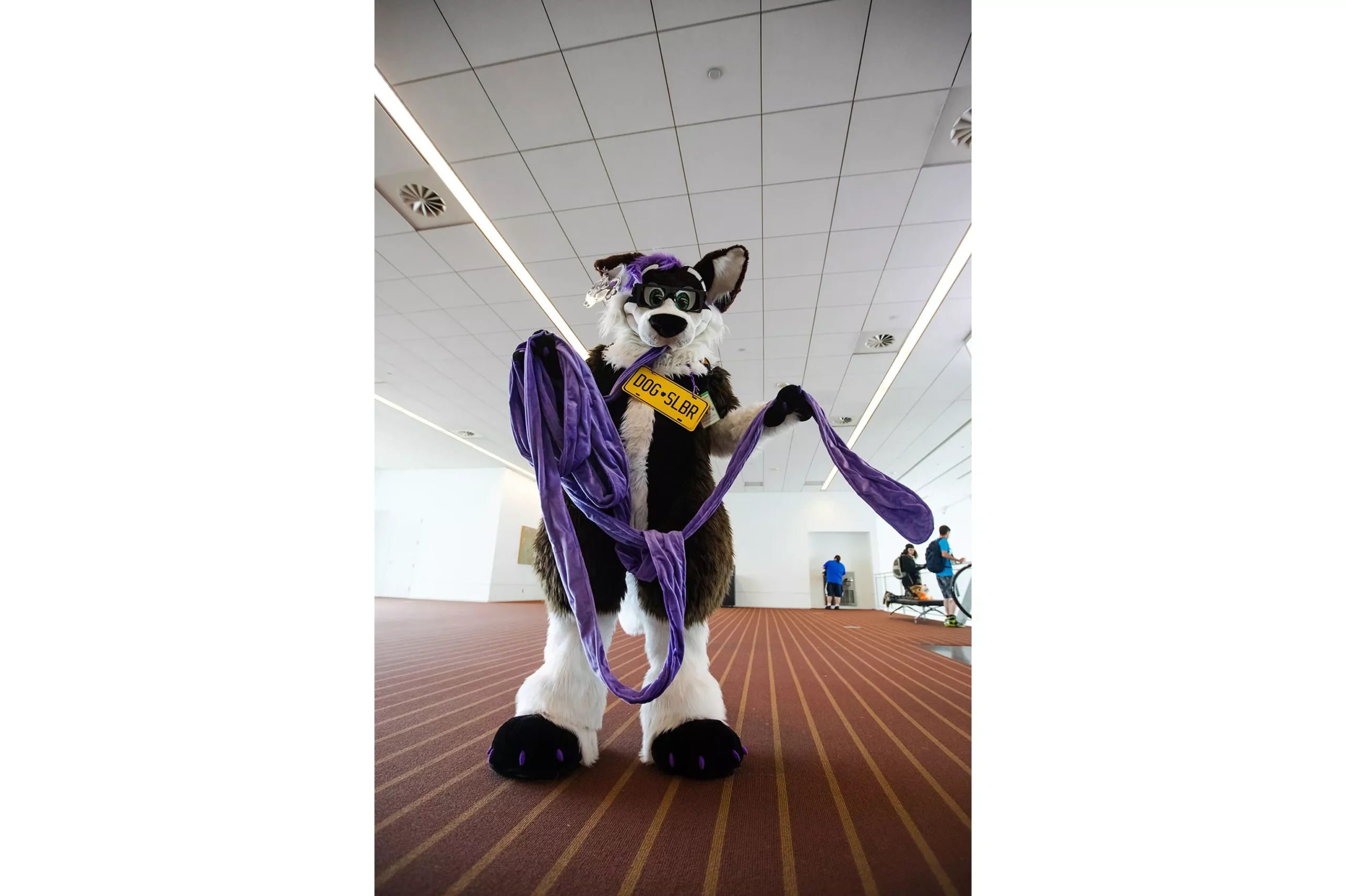 230701-anthrocon-2023-rshiring-108.webp