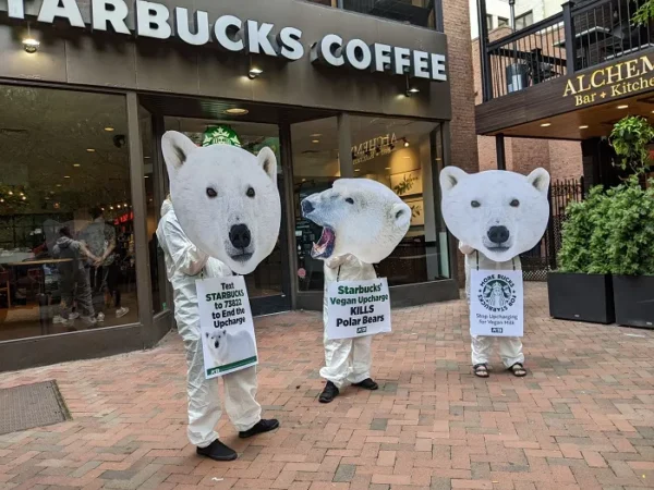 PETA polar bears roar into Market Square to protest Starbucks’ vegan upcharge
