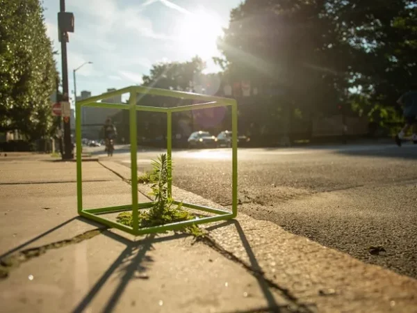 Carnegie Museum of Natural History thinks inside the box with new exhibition