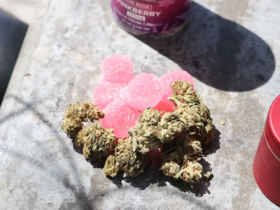 Best Delta 8 Gummies: Top 5 Delta 8 THC Gummies To Buy In 2024