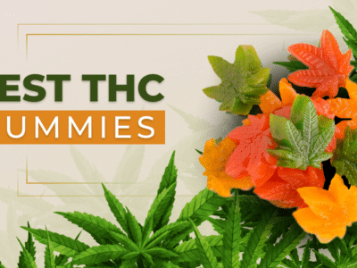 6 Best THC Gummies: THC Brands To Try In 2024