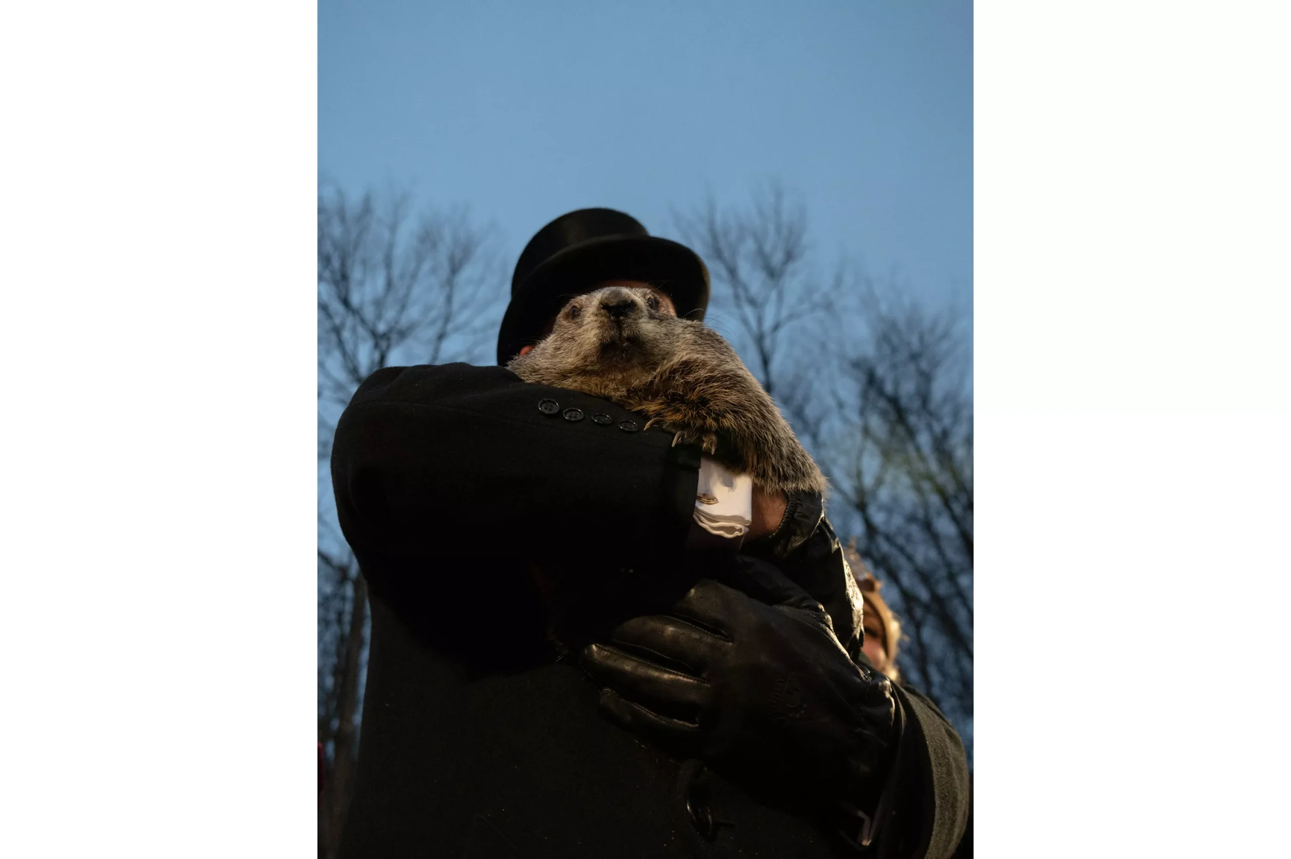 02-01-cp-groundhog07.webp