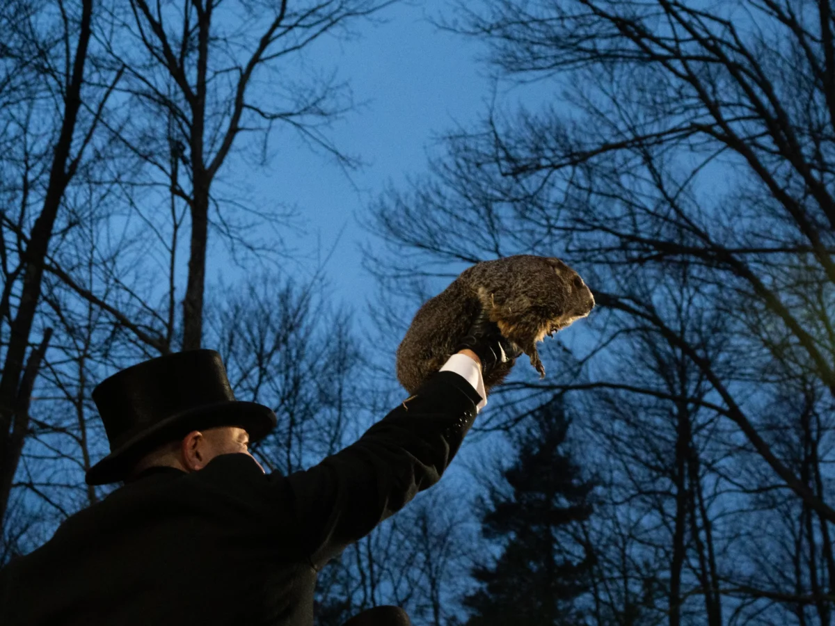 A rare spring prediction at Gobbler’s Knob on Groundhog Day 2024