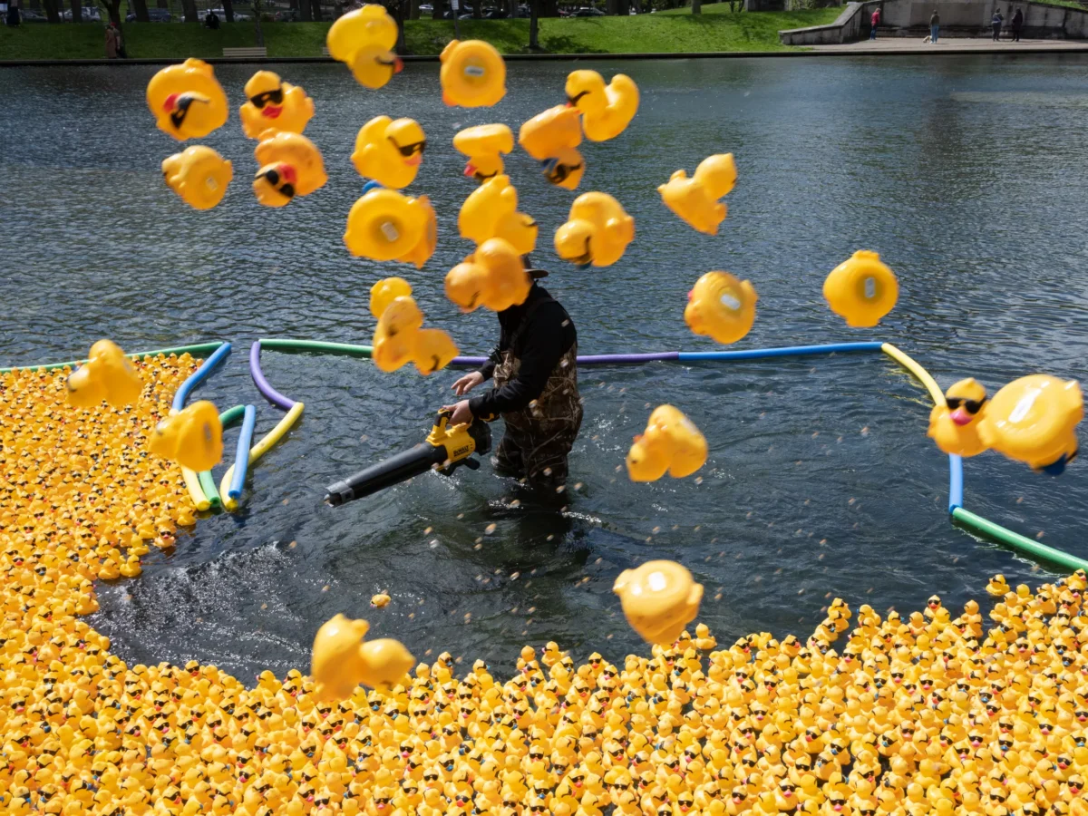 Steel City Duck Derby 2024