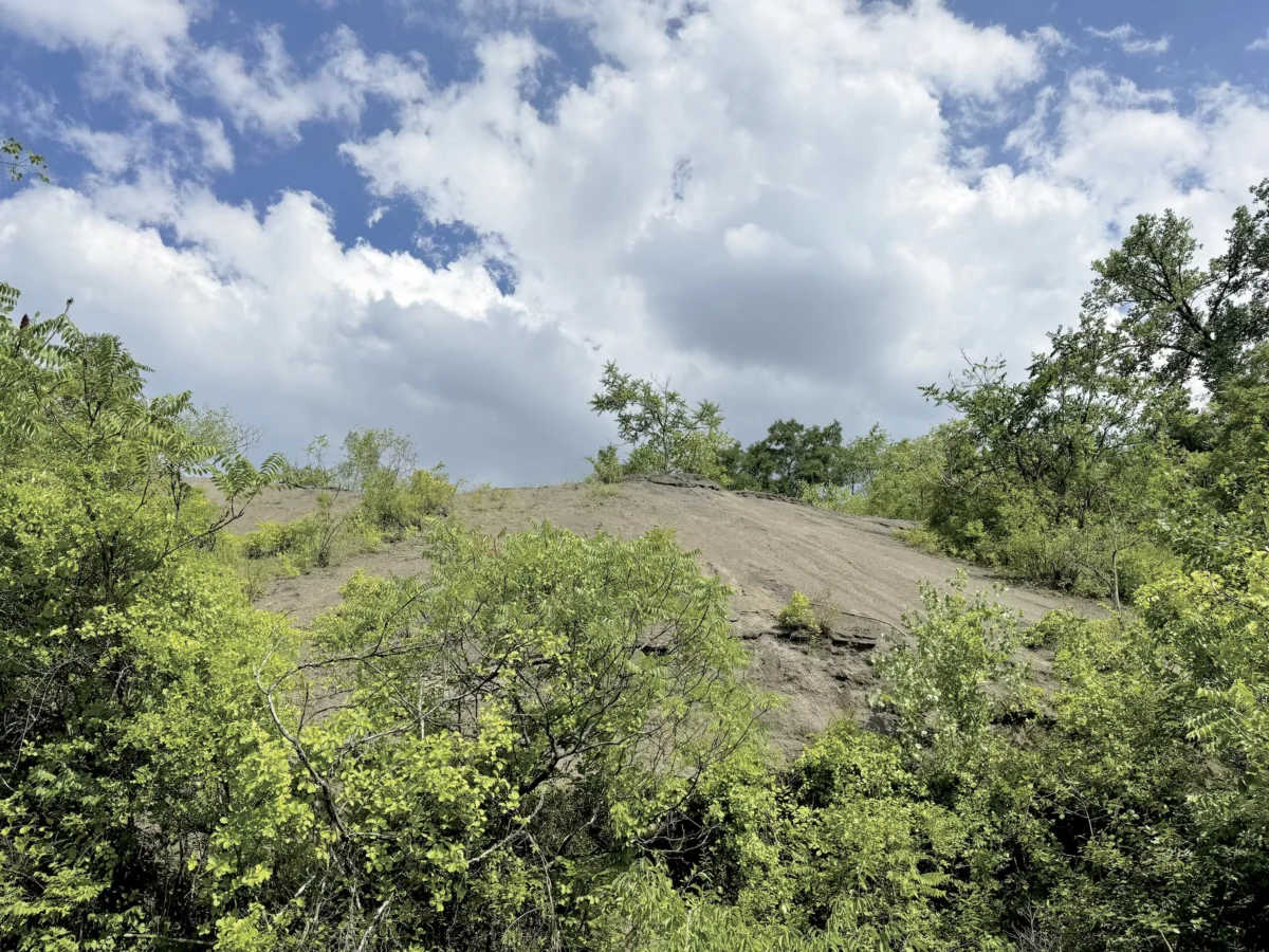 Experts see plenty of room for solar energy in slag heaps and homes