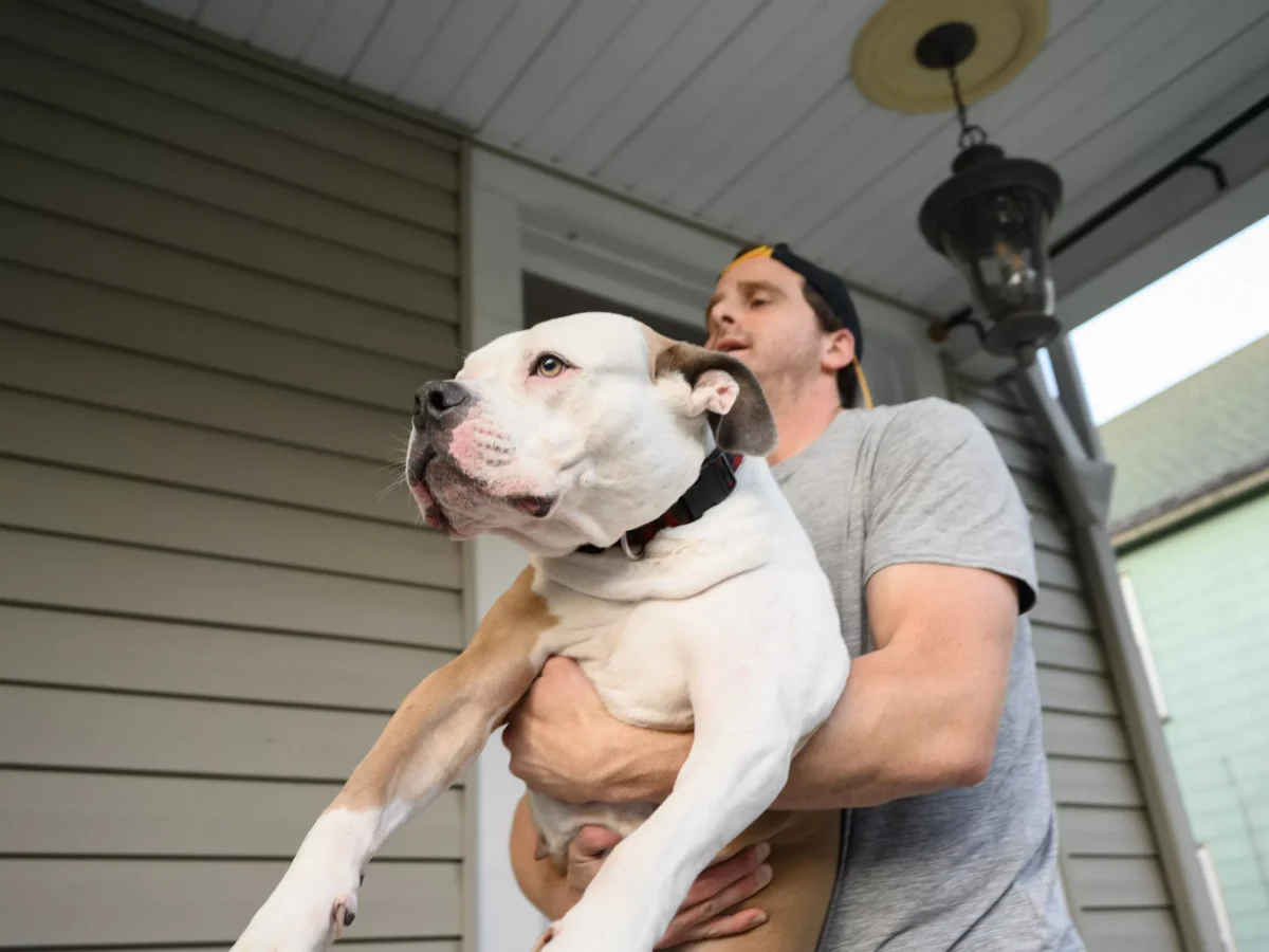 Harmony Dog Rescue provides crisis care for canines