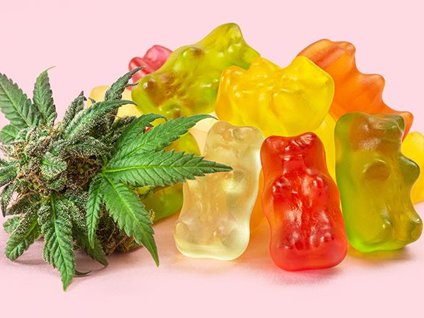Best THC Gummies: to Buy High-Quality Cannabis Gummies in 2024