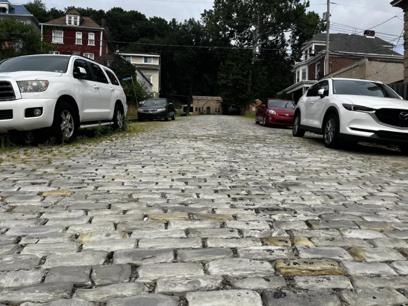 A street paved with wide gray stones and lined with brick and wood-frame homes among trees and gardens