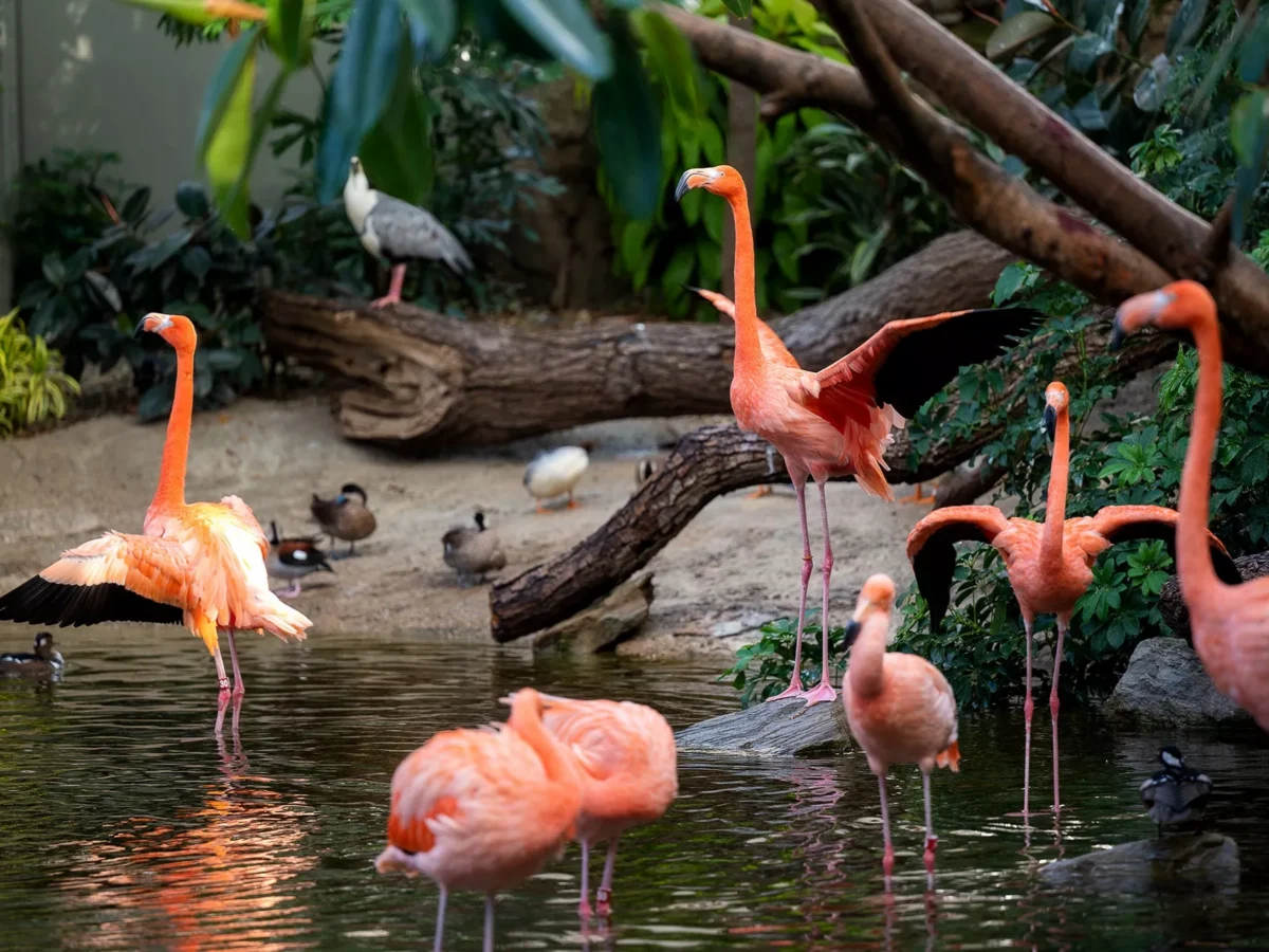 Hot Take: Escape freezing temps at these (literal) Pittsburgh hot spots