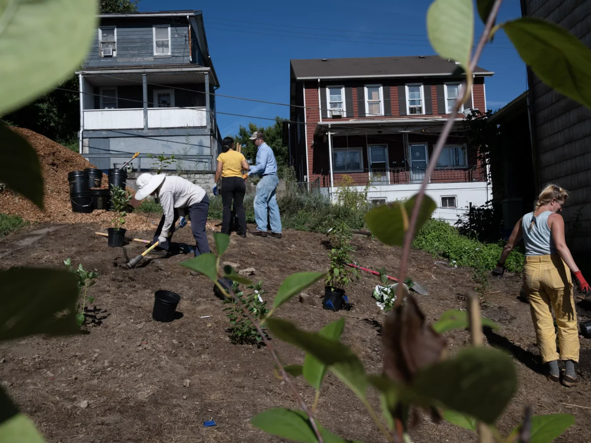 Urban farms in Pittsburgh can feed a hunger, if they’re allowed to grow