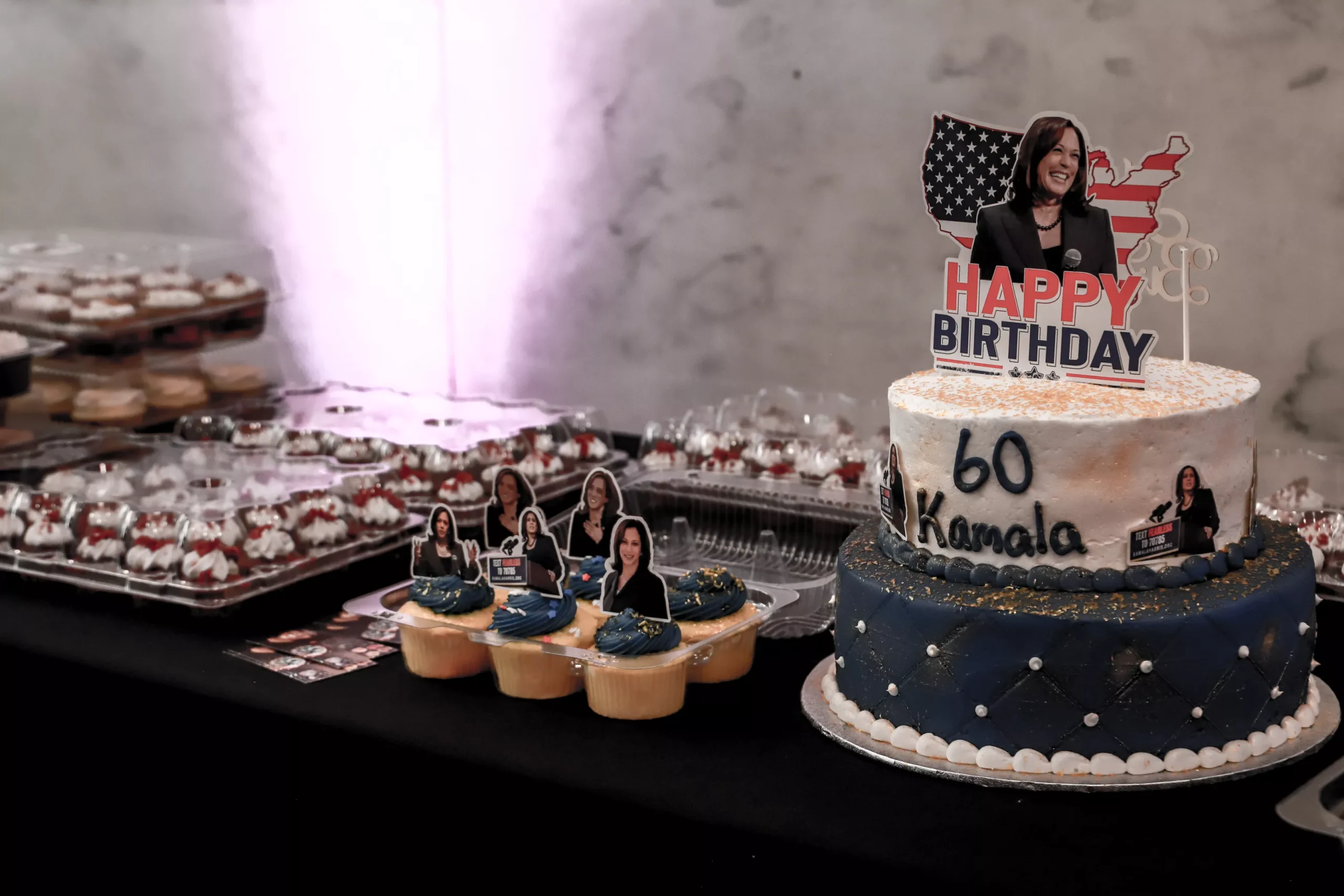 power_up_fest_kamala_birthday_cake.webp