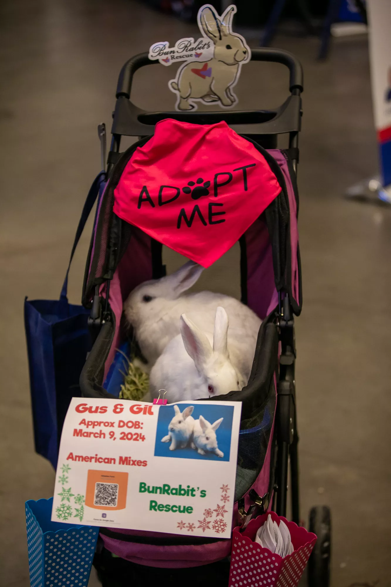05_-_pgh_pet_expo_2024_by_heather_schor_photography__-4848.webp