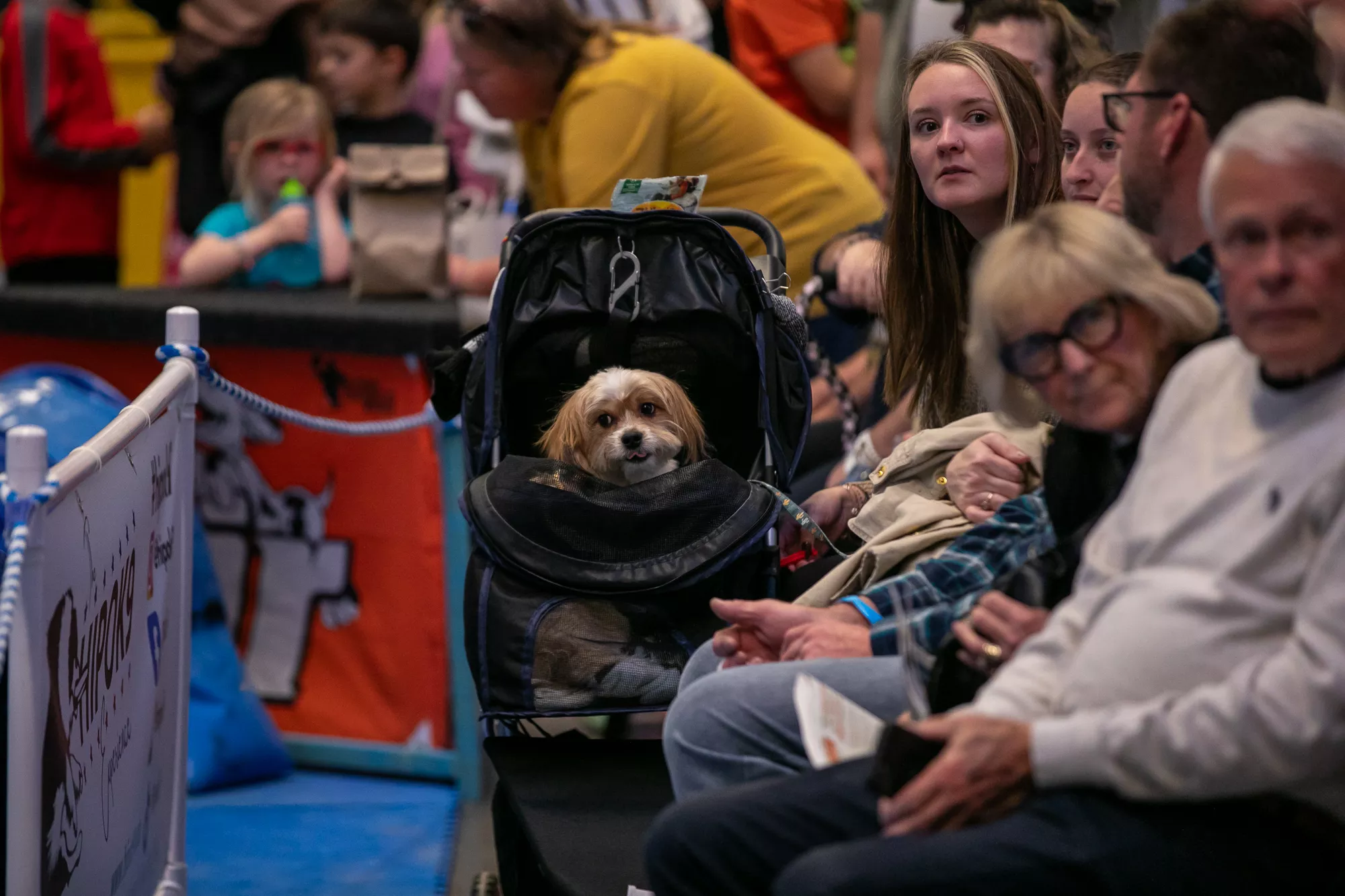 07_-_pgh_pet_expo_2024_by_heather_schor_photography__-4865.webp