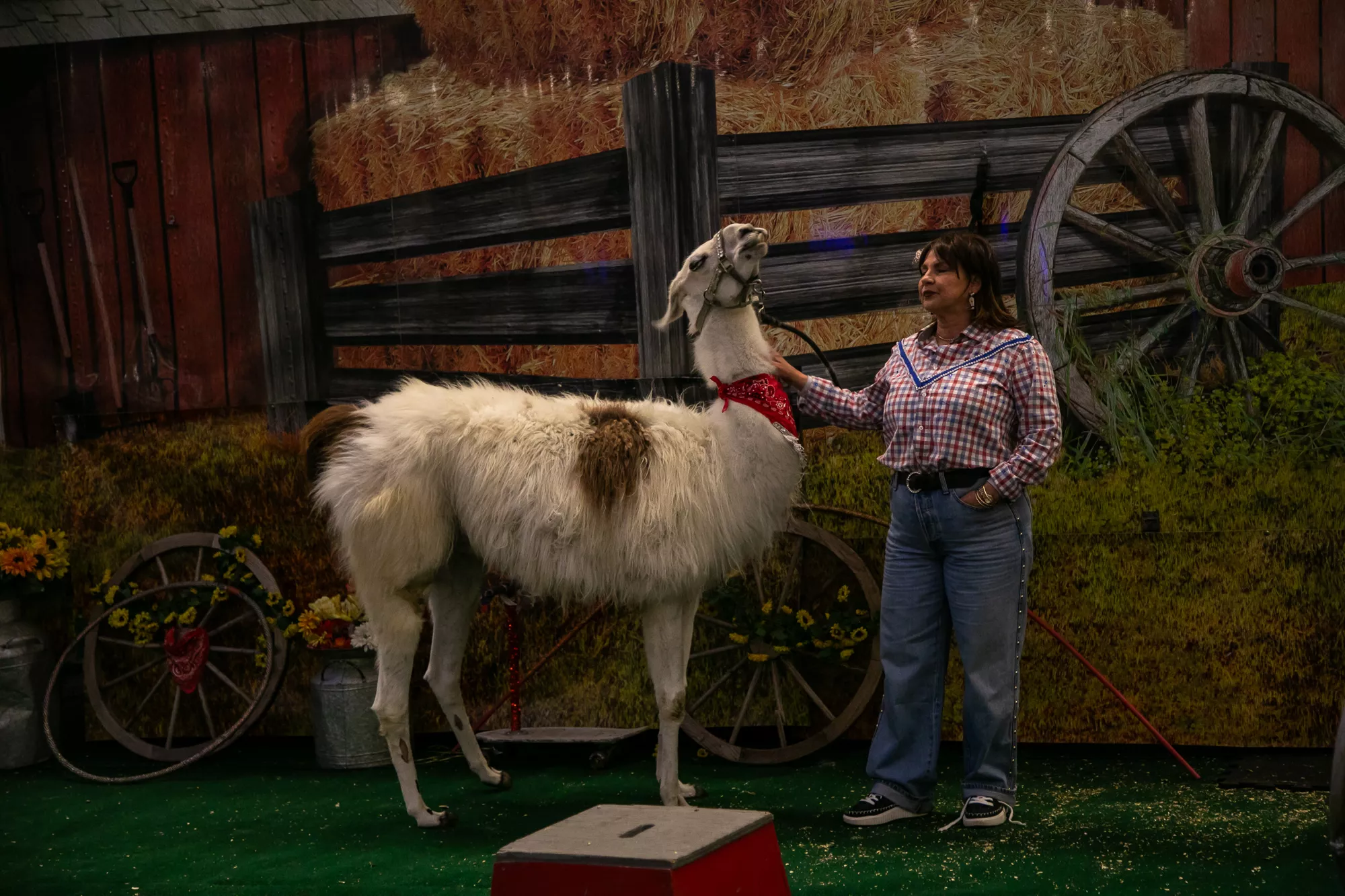 23_-_pgh_pet_expo_2024_by_heather_schor_photography__-5357.webp