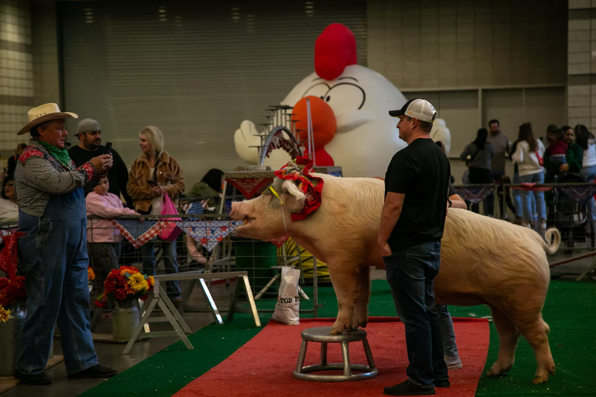 24_-_pgh_pet_expo_2024_by_heather_schor_photography__-5365.webp