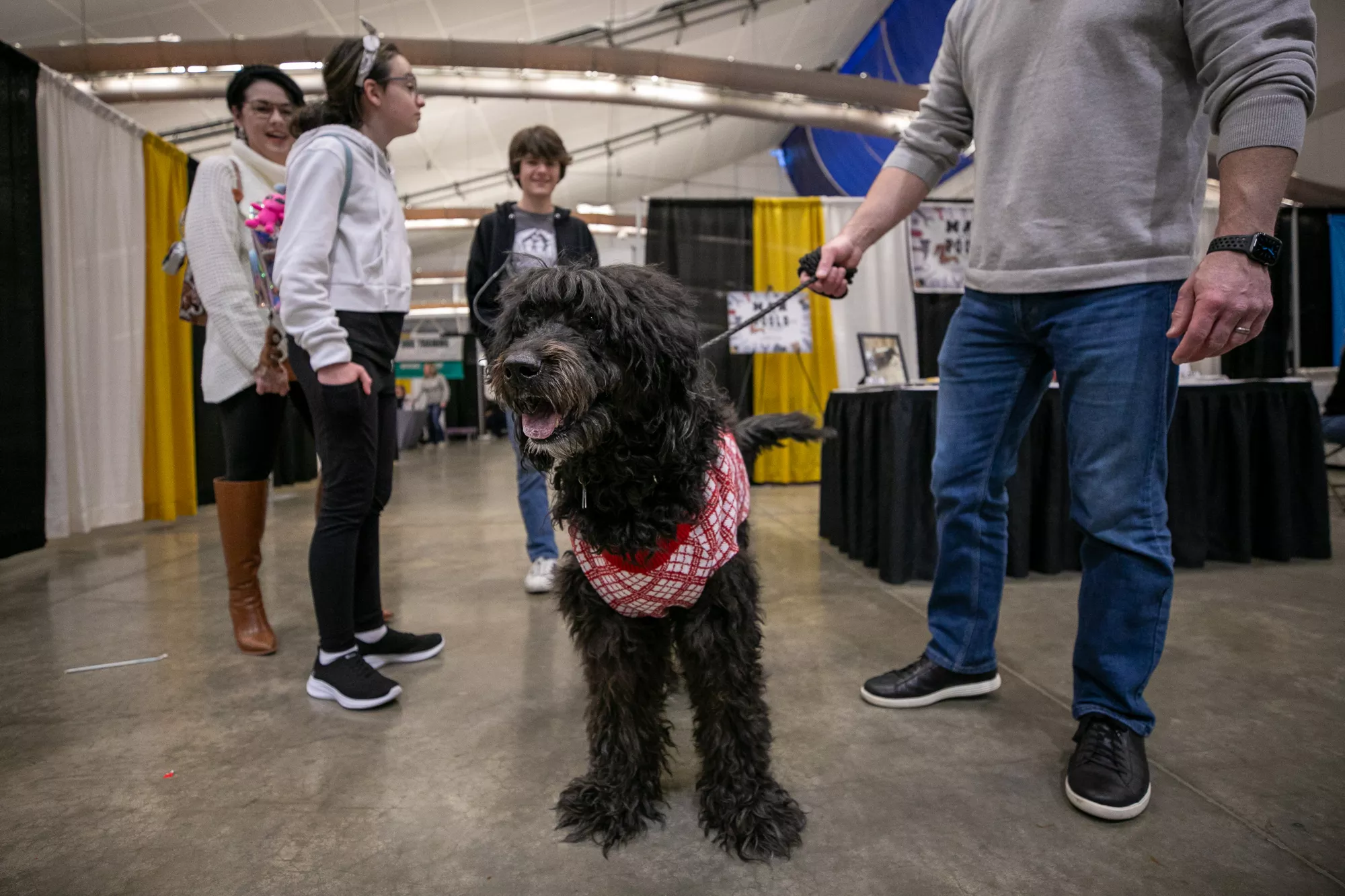 33_-_pgh_pet_expo_2024_by_heather_schor_photography__-5782.webp