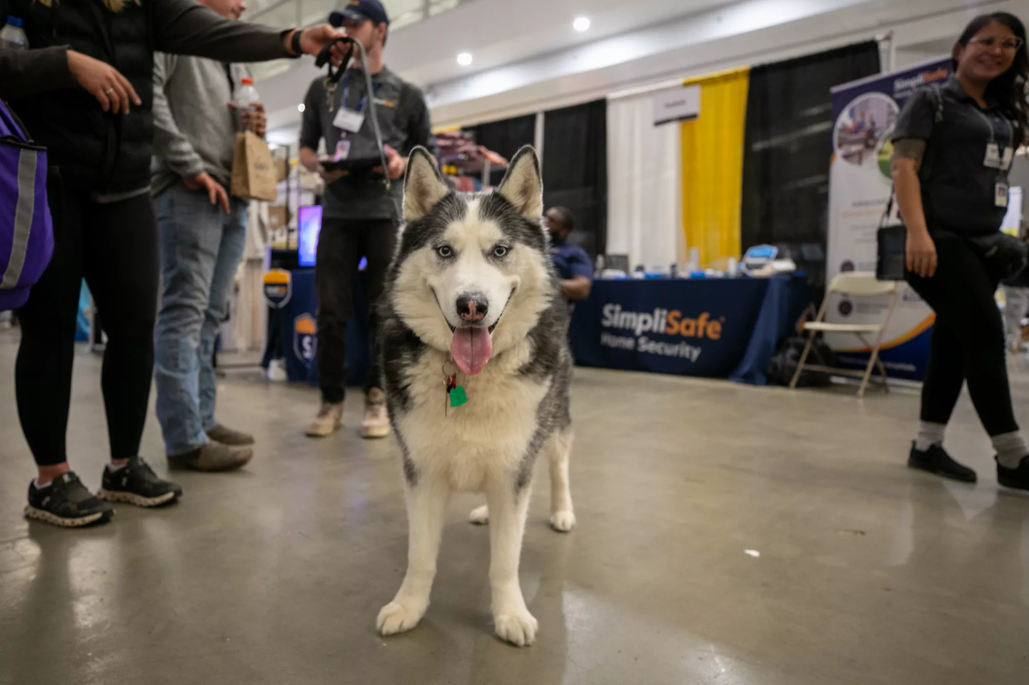 39_-_pgh_pet_expo_2024_by_heather_schor_photography__-5960.webp
