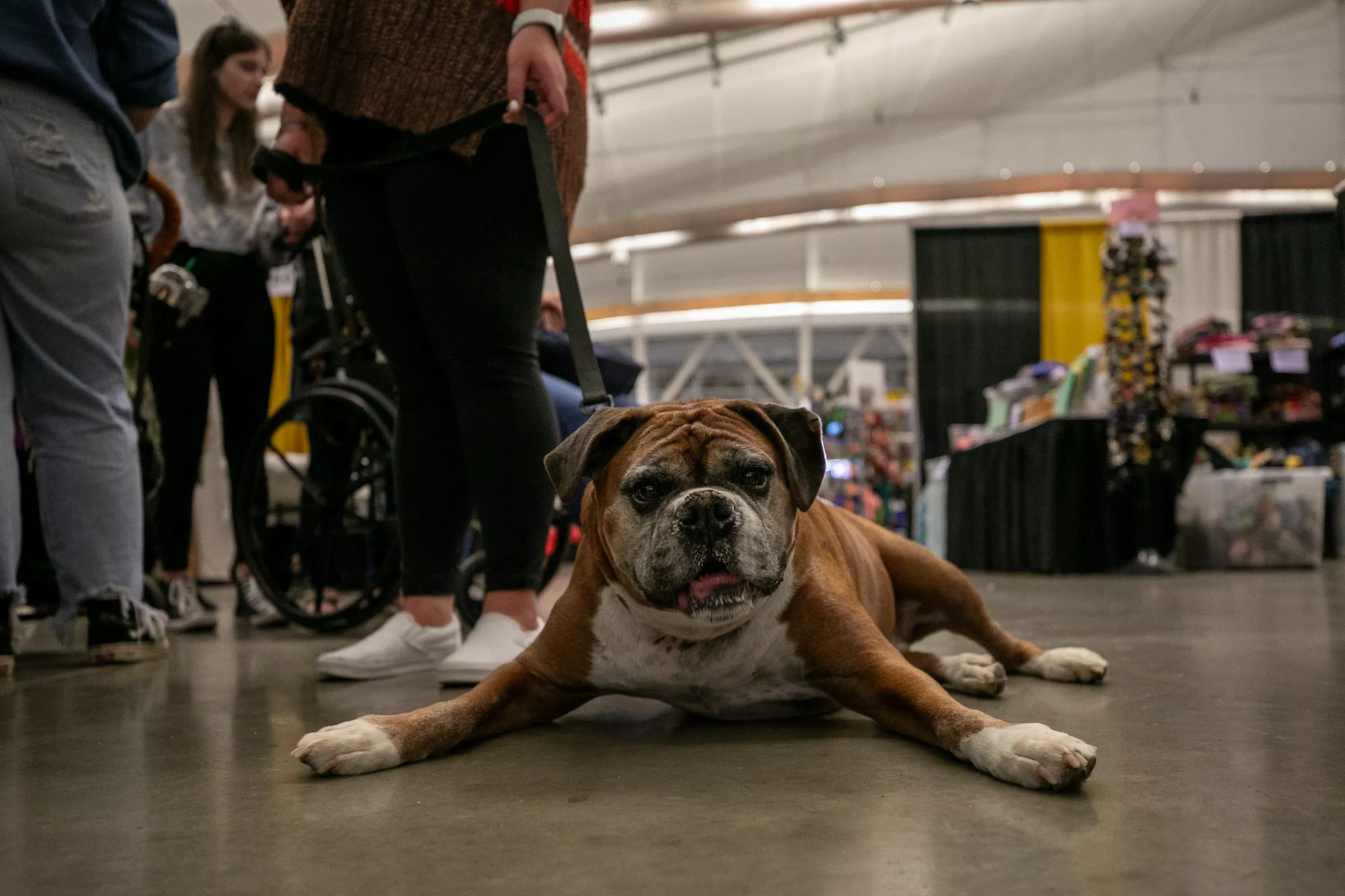 41_-_pgh_pet_expo_2024_by_heather_schor_photography__-5976.webp