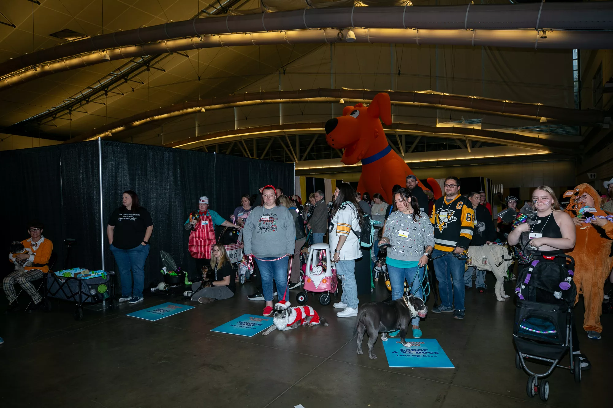 44_-_pgh_pet_expo_2024_by_heather_schor_photography__-6118.webp
