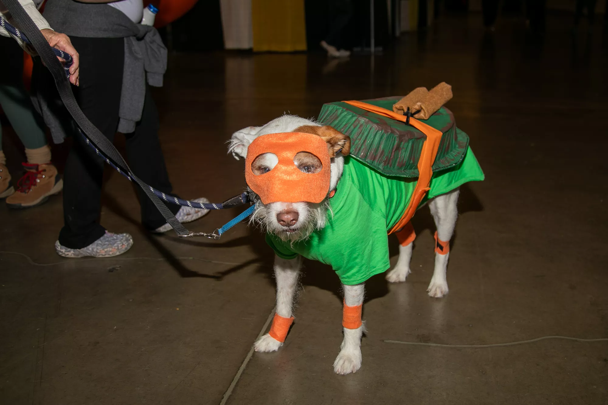 49_-_pgh_pet_expo_2024_by_heather_schor_photography__-6224.webp