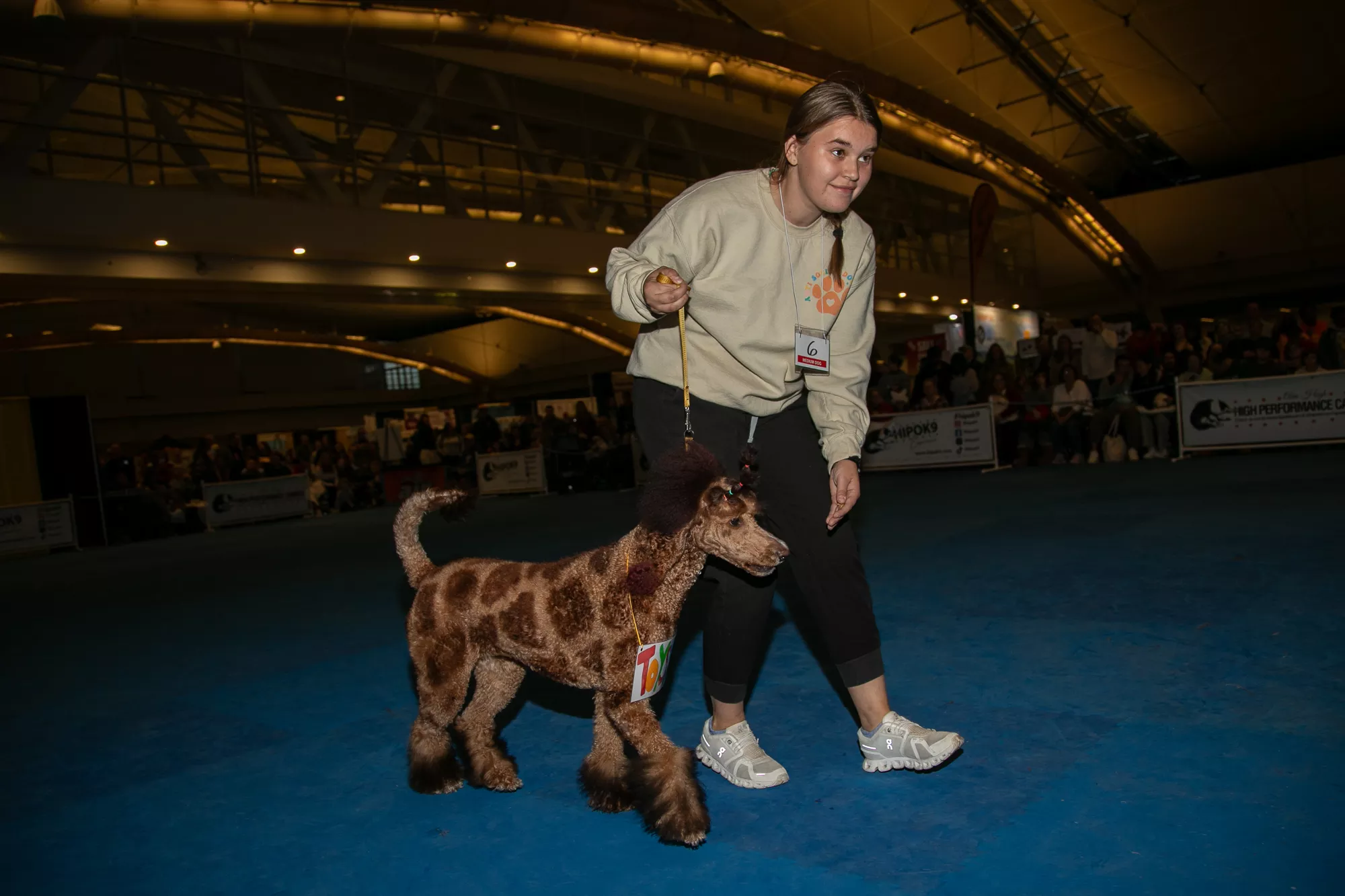 52_-_pgh_pet_expo_2024_by_heather_schor_photography__-6249.webp