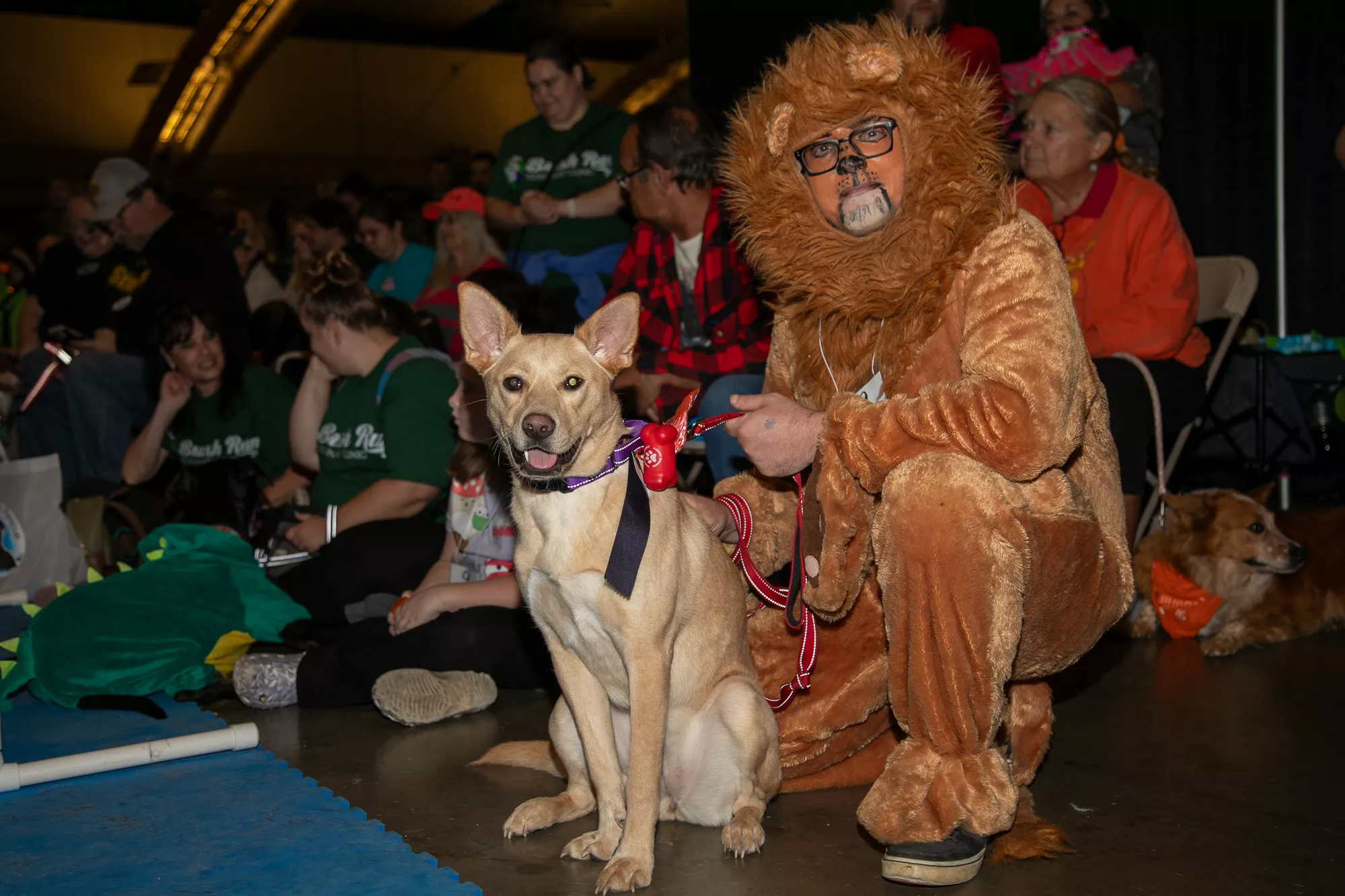 54_-_pgh_pet_expo_2024_by_heather_schor_photography__-6251.webp