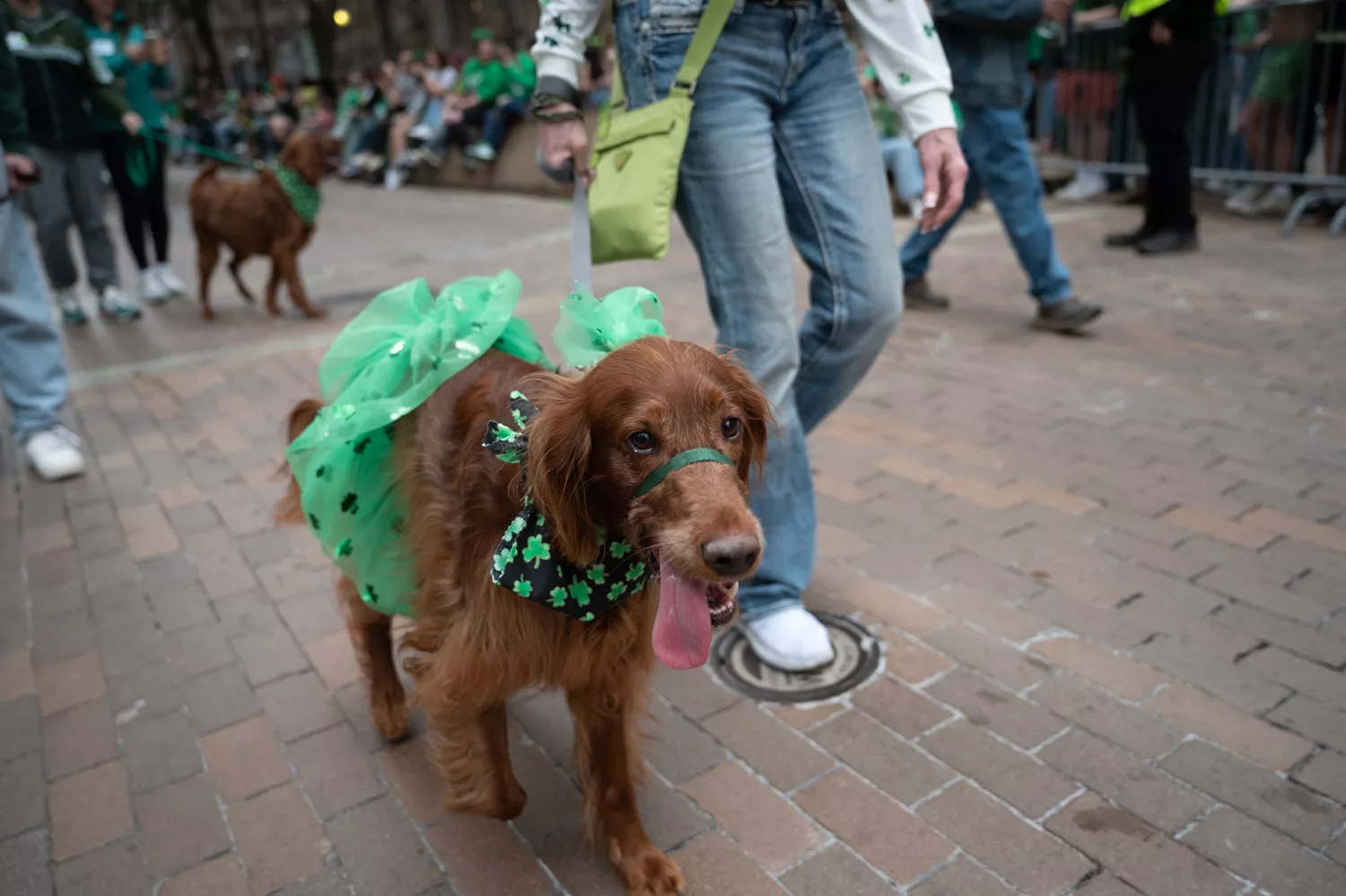 Thousands flock Downtown for 2025 St. Patrick's Day Parade - Pittsburgh ...