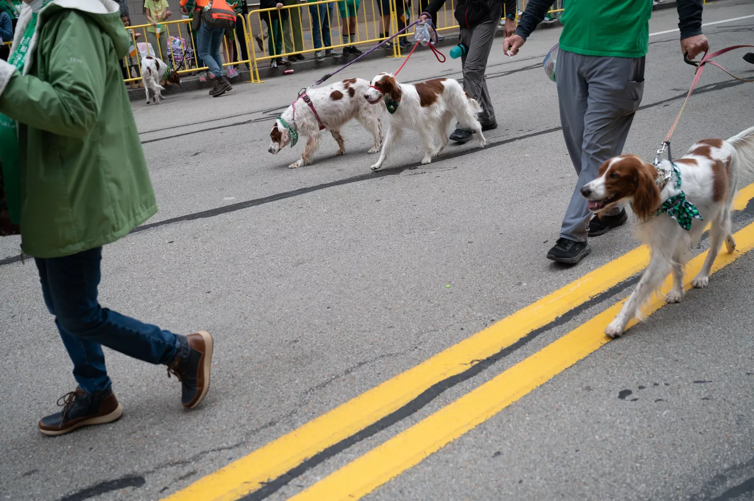 Thousands flock Downtown for 2025 St. Patrick's Day Parade - Pittsburgh ...