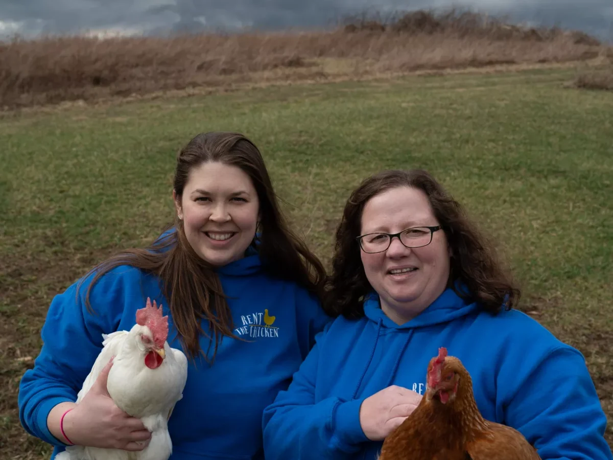 Rent the Chicken offers fresh eggs, companionship, and community without the commitment